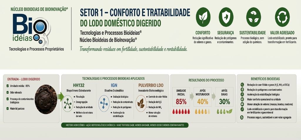 Infográfico do processo biotecnológico Bioideias